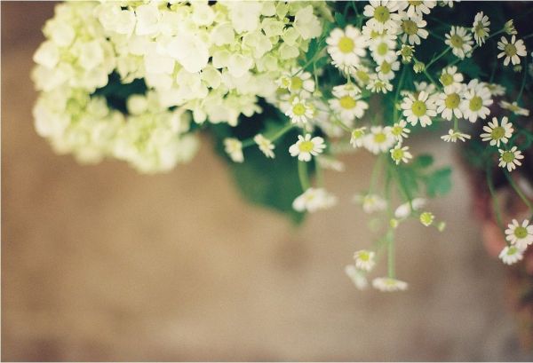 花饰风水　让你更优雅更美